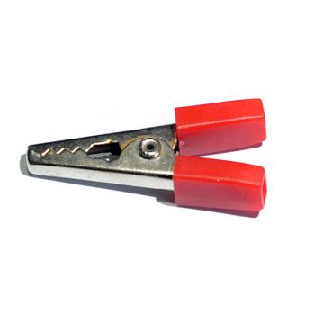 Coccodrillo rosso